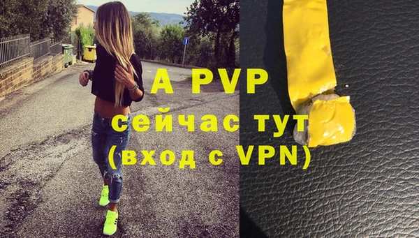 экстази Белокуриха